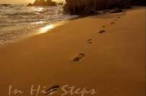 In His Steps (Part 2) 6/24/18-6/30/18