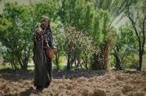 THE PARABLE OF JESUS CHRIST – THE SOWER, 11/4 – 11/9, 2019