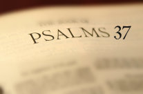 REFLECTION OF PSALM 37, JUNE 7th, 2020