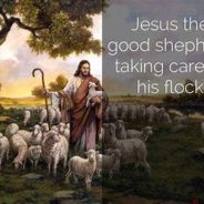 THE GOOD SHEPHERD AND HIS FLOCK, January 24th, 2021