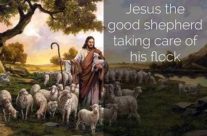 THE GOOD SHEPHERD AND HIS FLOCK, January 24th, 2021