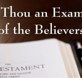 BE THOU AN EXAMPLE BELIEVER – IN CHARITY & LOVE, November 6th, 2022
