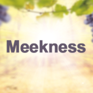 MEEKNESS, May 21st, 2023