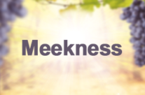 MEEKNESS, May 21st, 2023