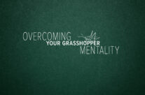 OVERCOMING THE ‘GRASSHOPPER’ MENTALITY, June 30th, 2024